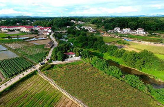农村污水治理企业哪家好？虽然农村污水行业市场空间大，但是相对于城市污水处理厂，农村污水治理对水务企业的吸引力偏弱。相比城市，农村污水处理市场更分散，专业人员少，对运维的要求更直接、迫切。